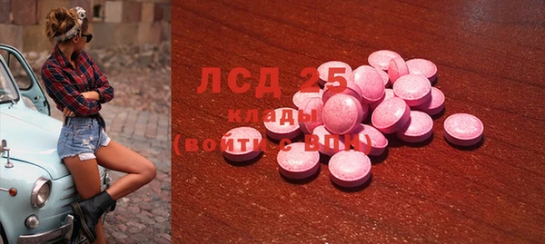 шишки Алзамай