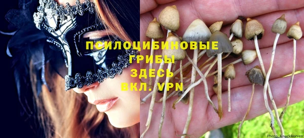 гидропоника Алексеевка
