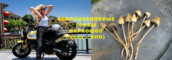 шишки Алзамай