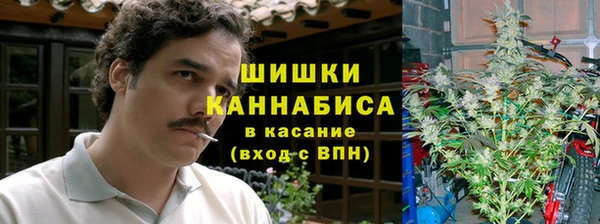 шишки Алзамай